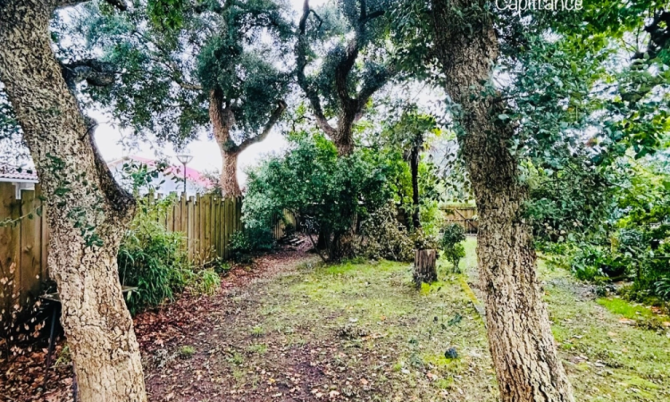 Maison de 2 pièces avec terrain à vendre à Labenne Bourg